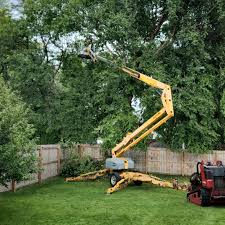 Trusted Santa Fe Springs, CA Tree Removal and Landscaping Services Experts